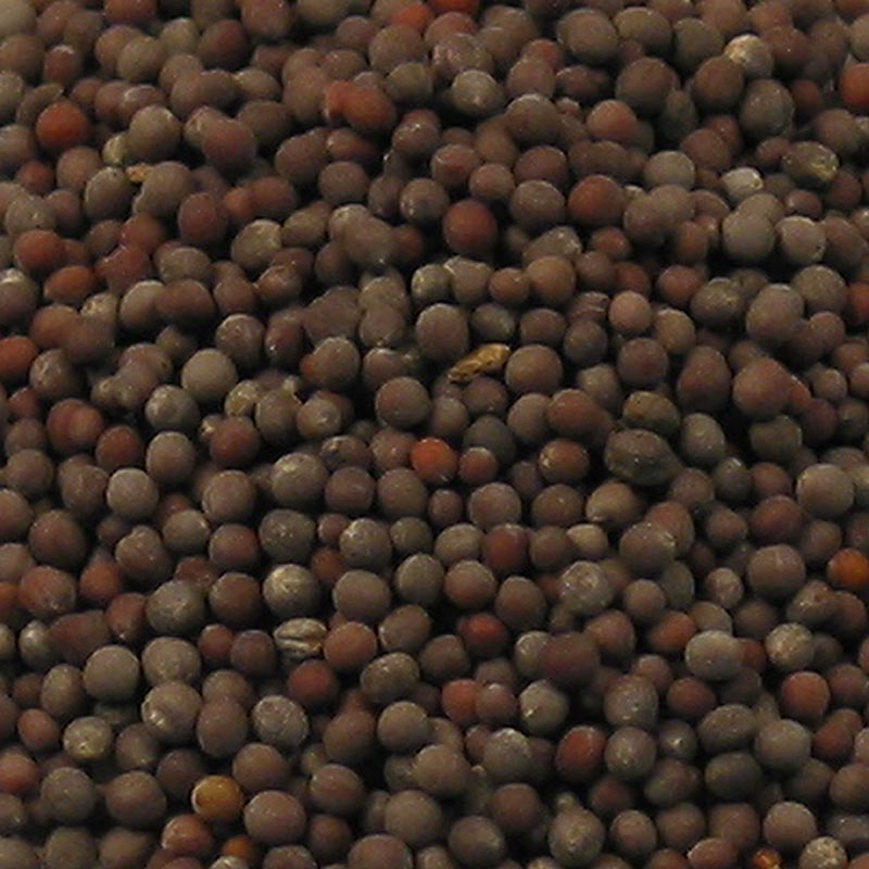 Sennepsfrø, mørke, 100 g