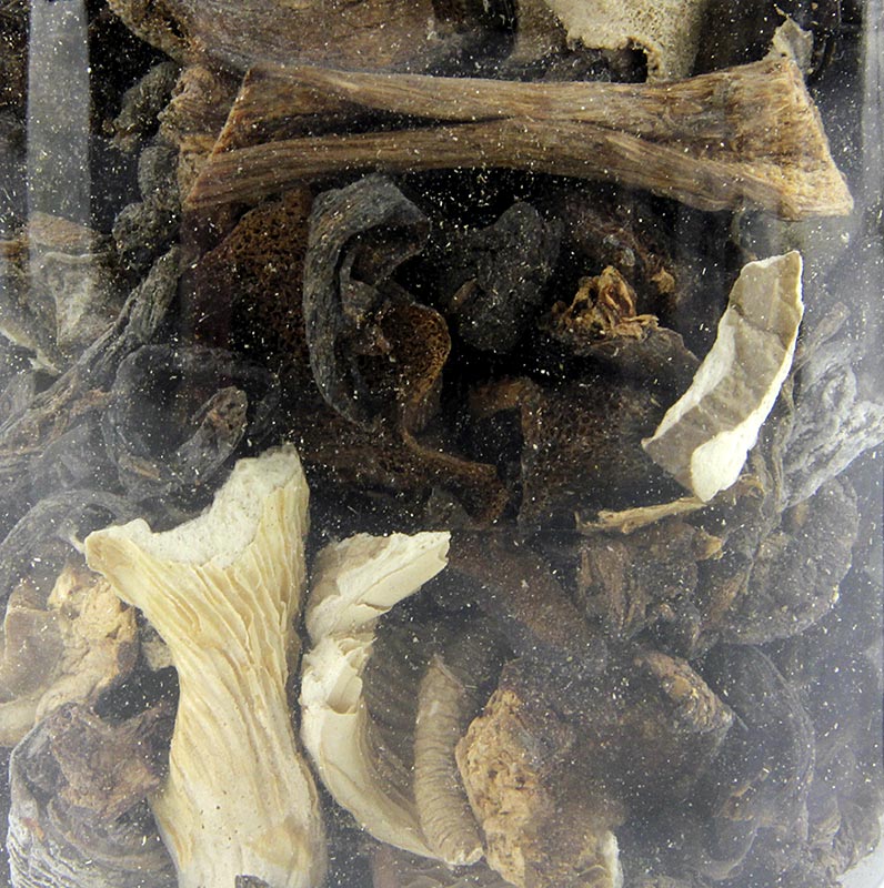 Blandede svampe - Mélange Forestier, Plantin, 50 g
