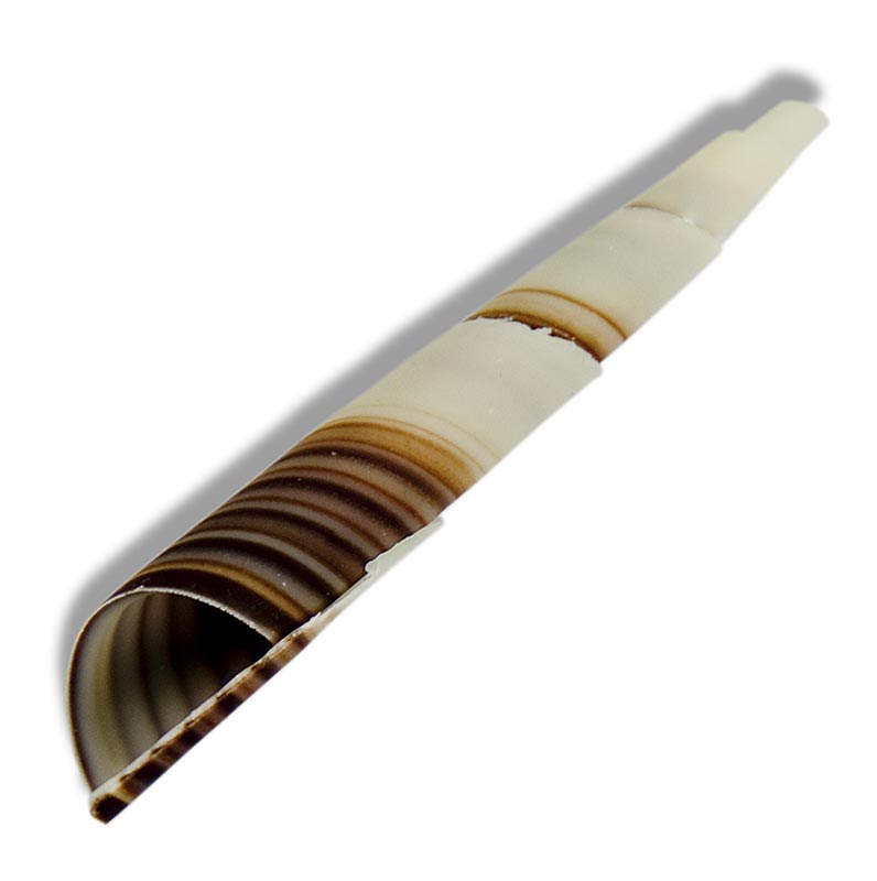 Dekorationspynt "Cornet" – mini-horn, marmoreret, ca. 80 mm, 350 g, 117 stk.