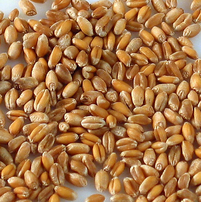 Hele hvede, økologisk, 1 kg