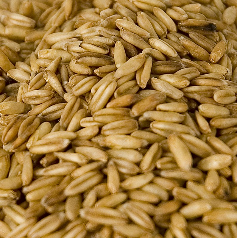 Havre, hele, økologisk, 1 kg
