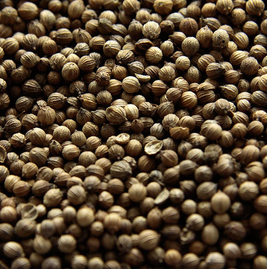 Korianderfrø, hele, 1 kg