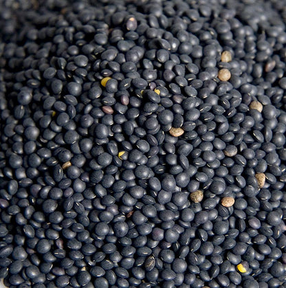 Linser, Beluga, sorte, økologiske, 1 kg