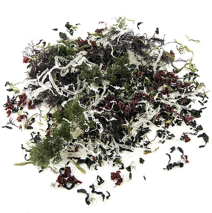 Kaiso tørret tangblanding, tørret tang, 6 tangsorter til Kaiso-salat, 100 g