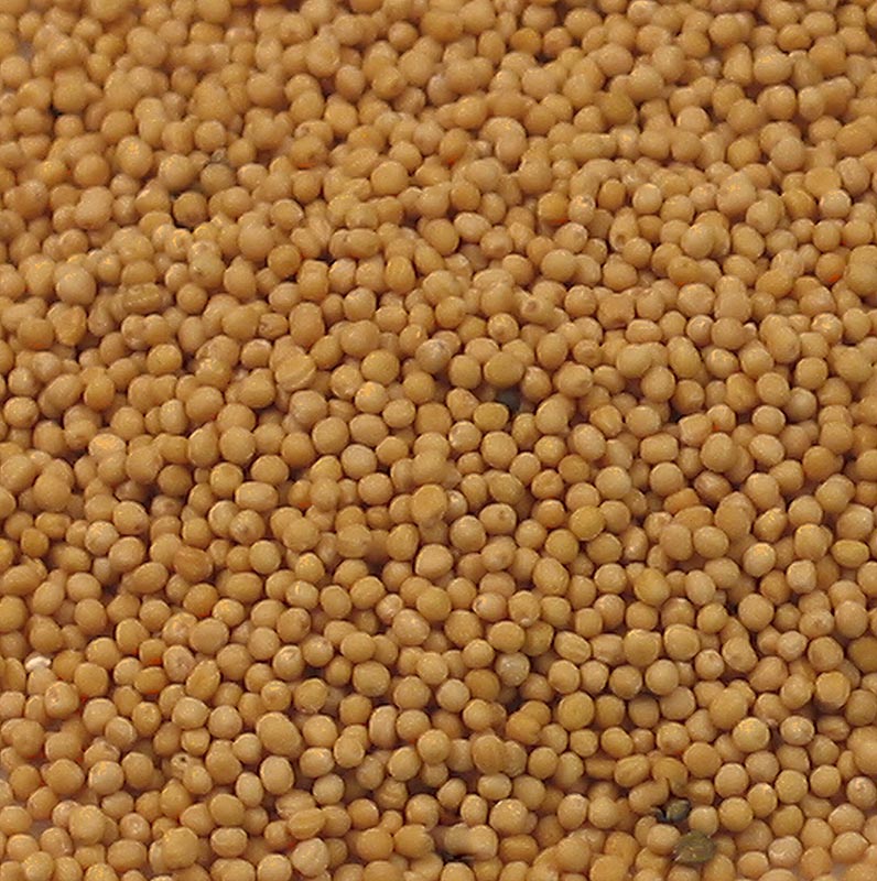 Sennepsfrø, lyse, 1 kg