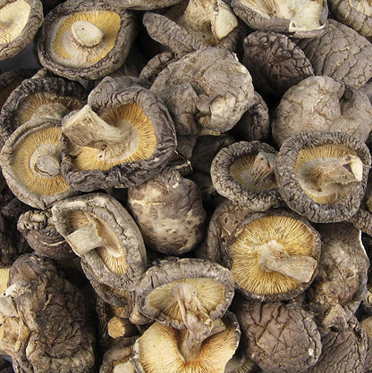 Shiitake-svampe, Tongu, lille størrelse ø 3 cm, Zhong-Hon-Gu, 1 kg