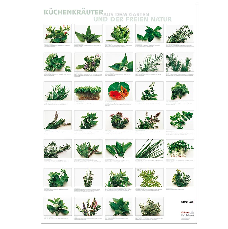 Port Culinaire - køkkenplakat med køkkenurter (59,4 x 84 cm), 1 stk.