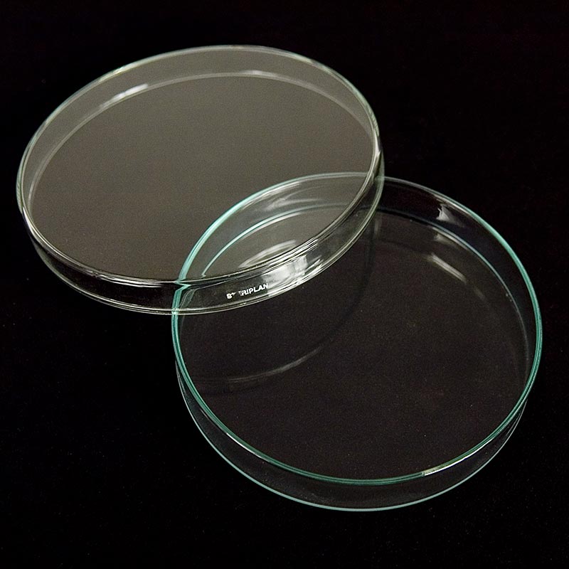 Petriskåle af glas, ø 15 cm med låg, 1 stk.