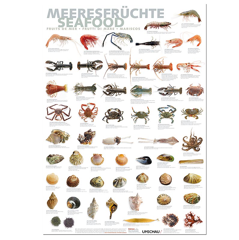 Port Culinaire – køkkenplakat med skaldyr (59,4 x 84 cm), 1 stk.