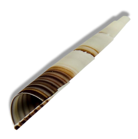 Dekorationspynt "Cornet" – mini-horn, marmoreret, ca. 80 mm, 350 g, 117 stk.