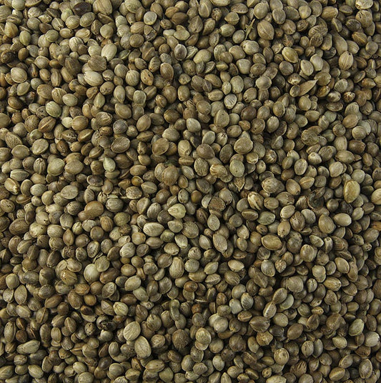 Hampfrø, uskalede, uristede, økologiske, 1 kg