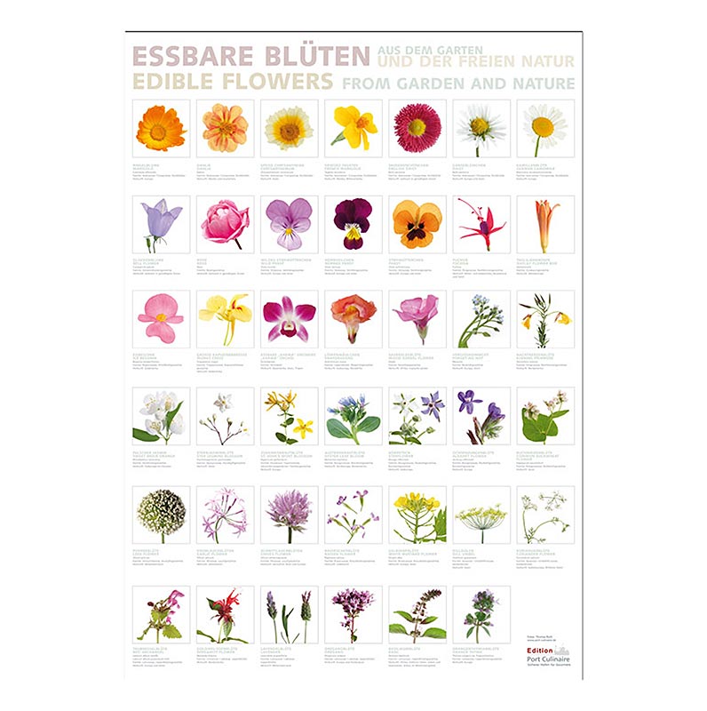Port Culinaire - Køkkenplakat Spiselige blomster (59,4 x 84 cm), 1 stk