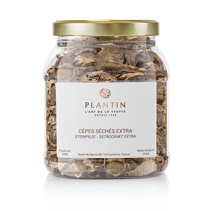 Porcini-svampe – udvalg, lyse, 250 g