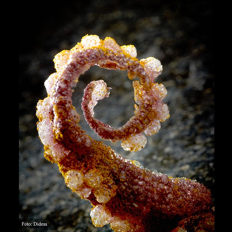 Tasty Bites "Octopus-Kimshi" – fingermad på risbasis til friturestegning, 160 g