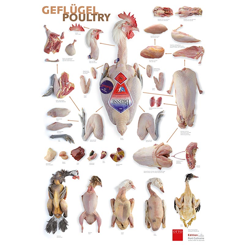 Port Culinaire - køkkenplakat med fjerkræ (59,4 x 84 cm), 1 stk