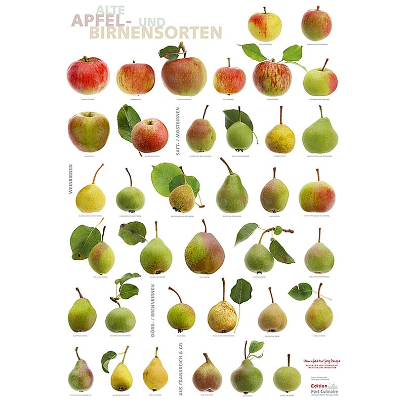 Port Culinaire - køkkenplakat Æbler & Pærer (59,4 x 84 cm), 1 stk