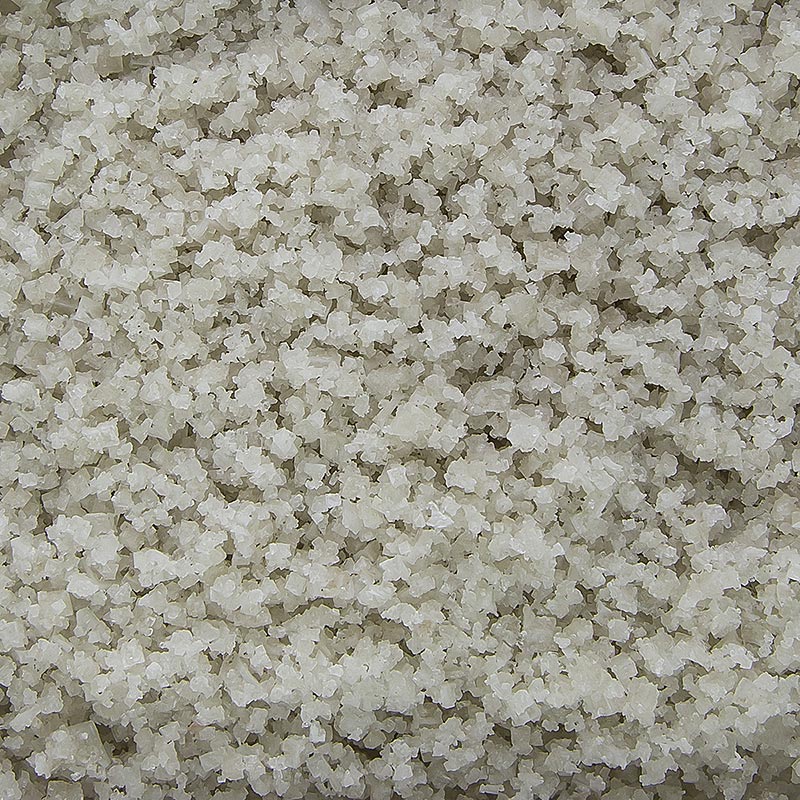 Havsalt, groft, gråt, fugtigt, Guerande/Frankrig, TradySel, 1 kg