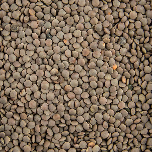 Linser, brune, små, 5 kg