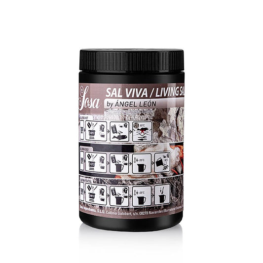 Salt "Sal Viva / Living Salt" af Ángel León, 700 g