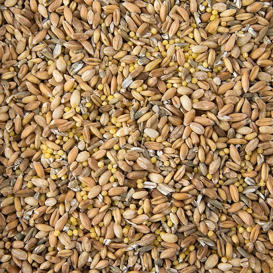 6-kornsblanding (hvede, rug, spelt, havre, hirse, byg), 1 kg