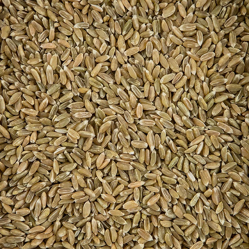 Grøn hvede, hel, økologisk, 500 g