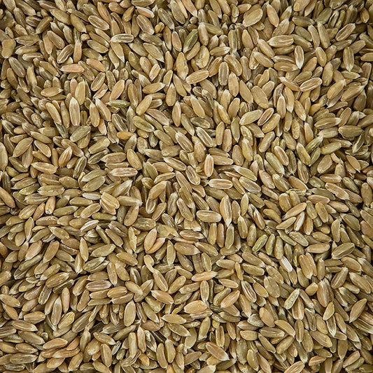 Grøn hvede, hel, økologisk, 500 g