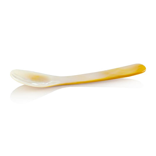 Kaviar-perlemorsske, ca. 8-9 cm, 1 stk