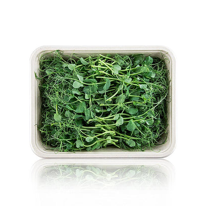 Fuldpakket mikrogrønt "Ærter", helt unge blade/spirer, 100 g