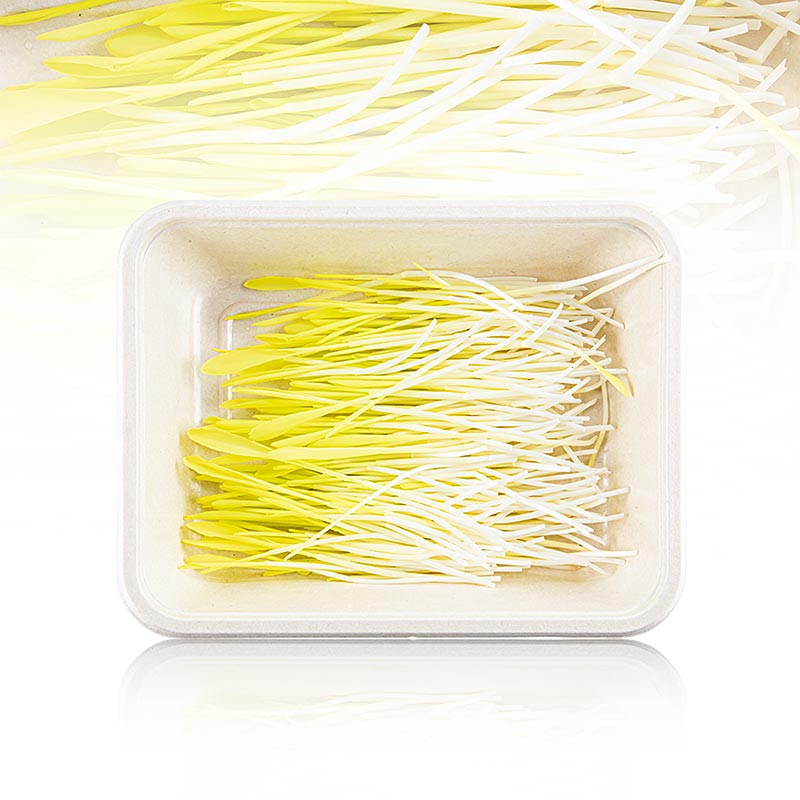 fuldt pakket mikrogrønt "Majs", helt unge blade/spirer, 50 g