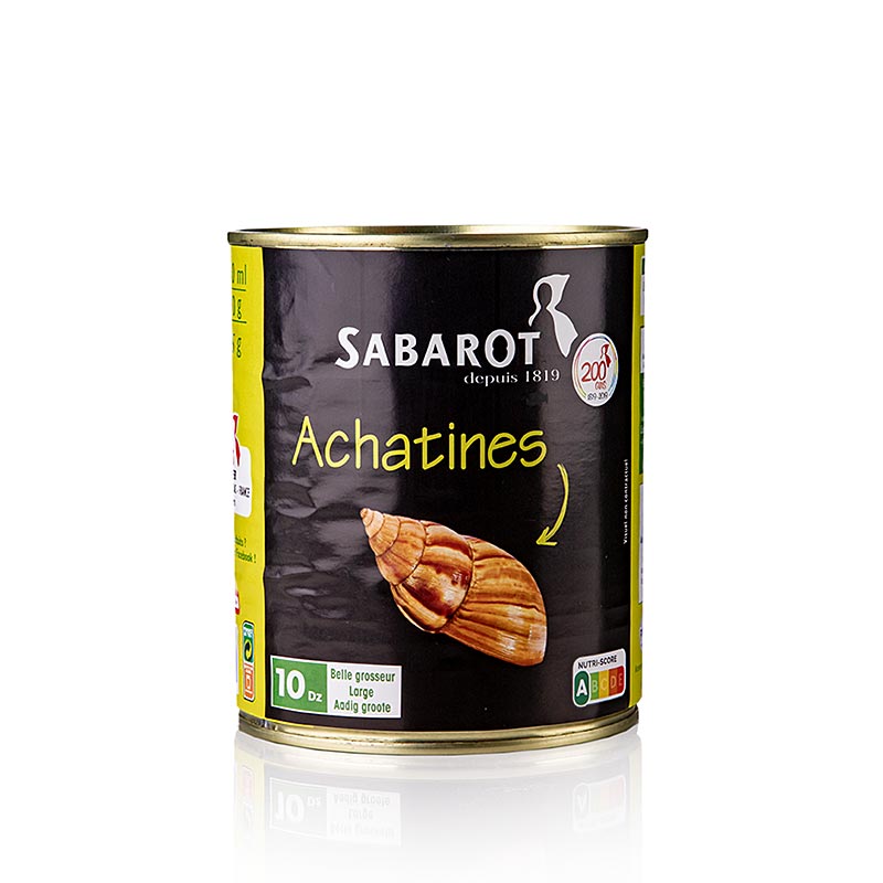Achat-snegle (Achatines), 10 dusin, mellemstore, Sabarot, 800 g, 120 stk