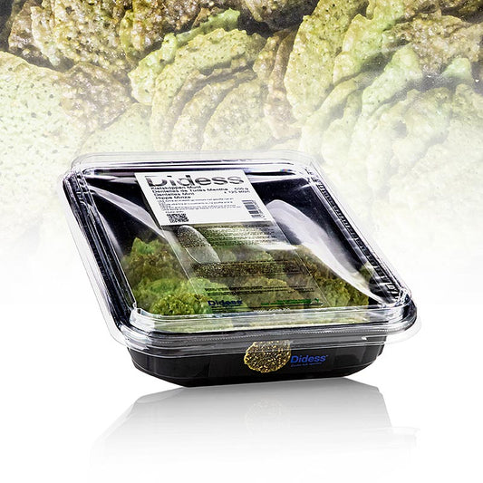Grand Dekor myntekrokant, sød, Didess, 500 g, 125 stk