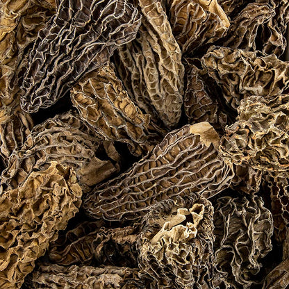 Spidsmorchel-hoveder, Jumbo, tørrede, 100 g