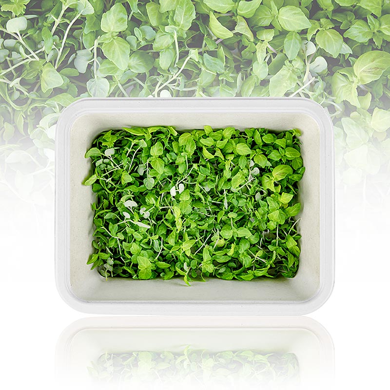 vollgepackt Microgreens "ShisoGreens", unge blade/spirer, 25 g