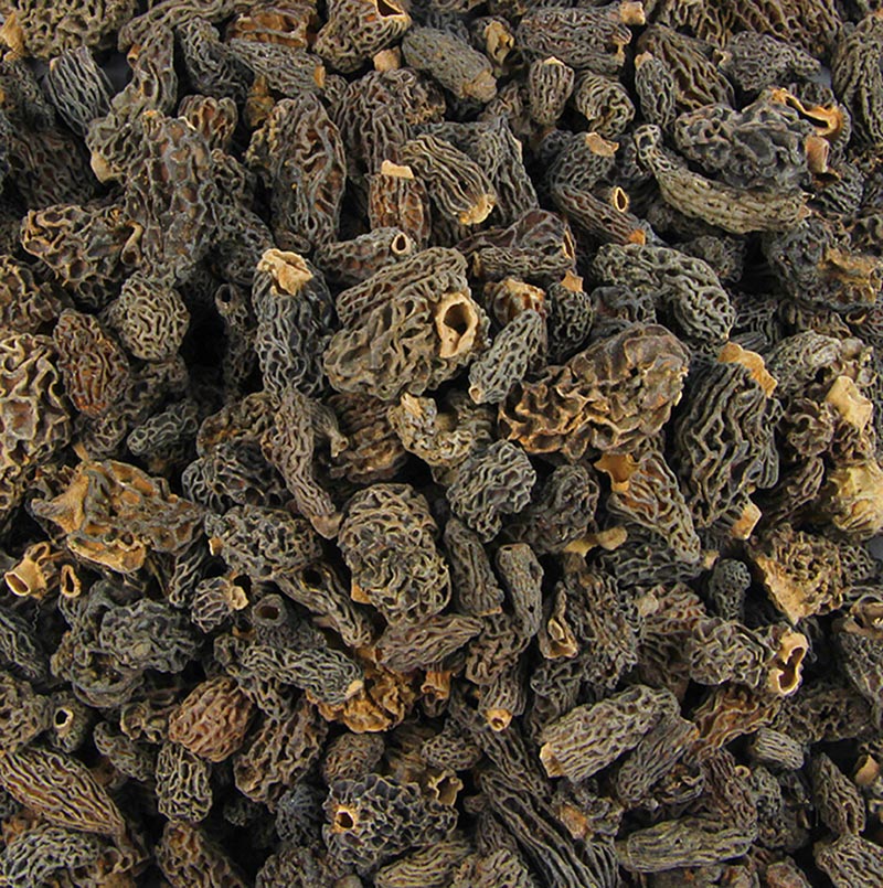 Spidsmorchel-hoveder, Tinies, tørrede, Plantin, 1 kg