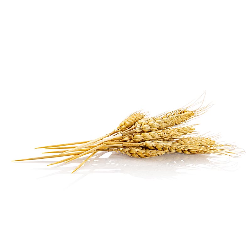 Engangs spyd af hvedekorn (naturprodukt), 20 cm, 50 stk.