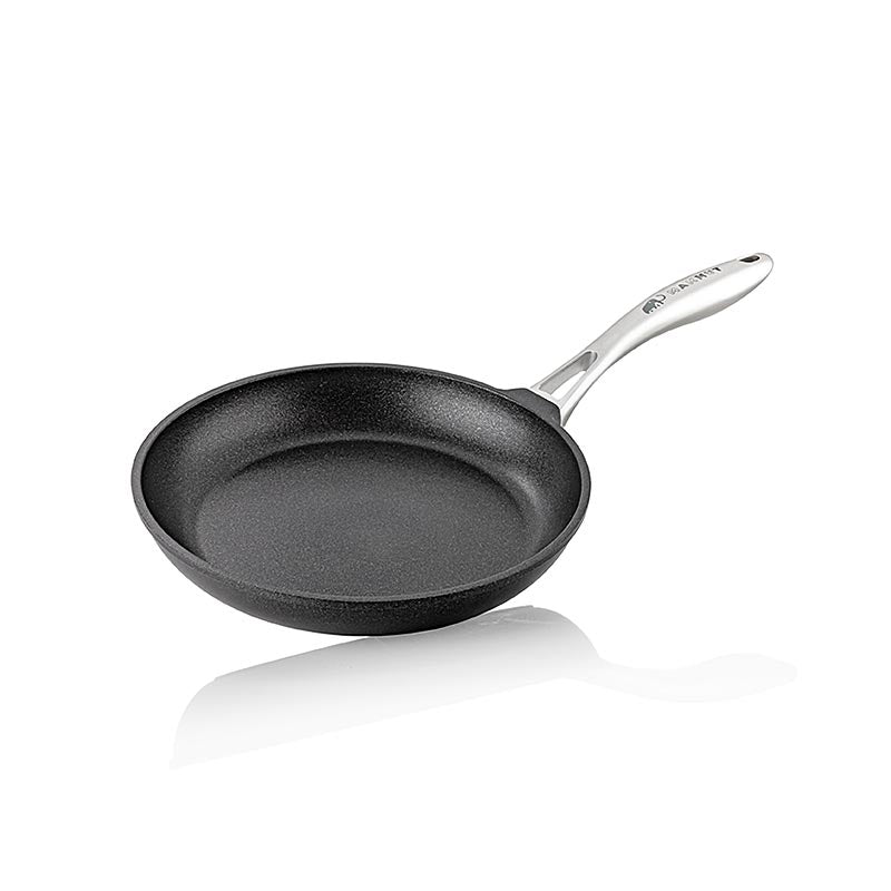 MAMMUT-pande til induktion, rustfrit stålhåndtag, Ø 24 cm, 5 cm høj, AMT Gatrogu